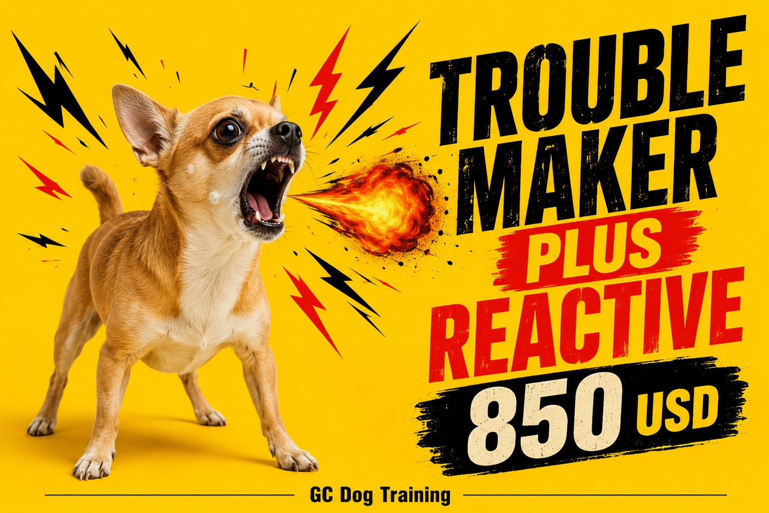 Puppy Extend Course Training
