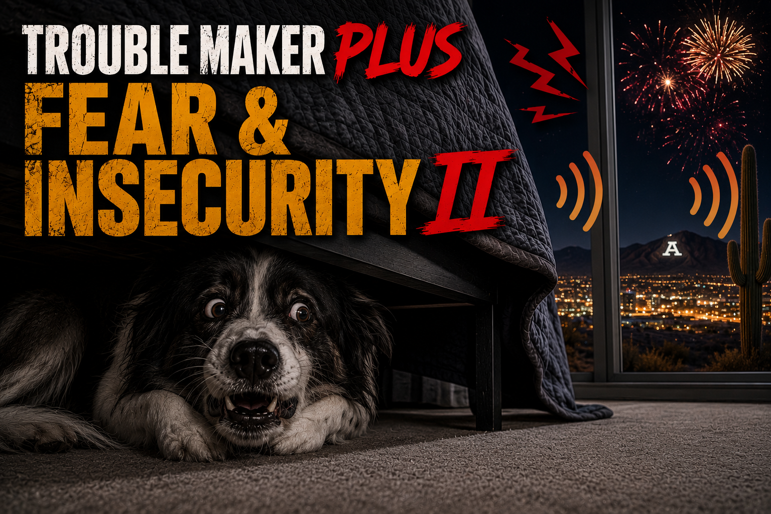 Trouble Maker Plus Fear & Insecurity Course II